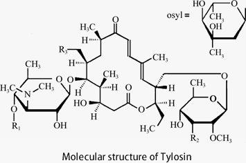 Molecular structure of Tylosin